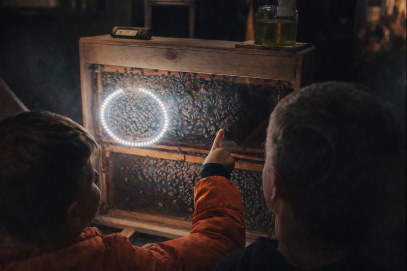 Κυψέλη Παρατήρησης